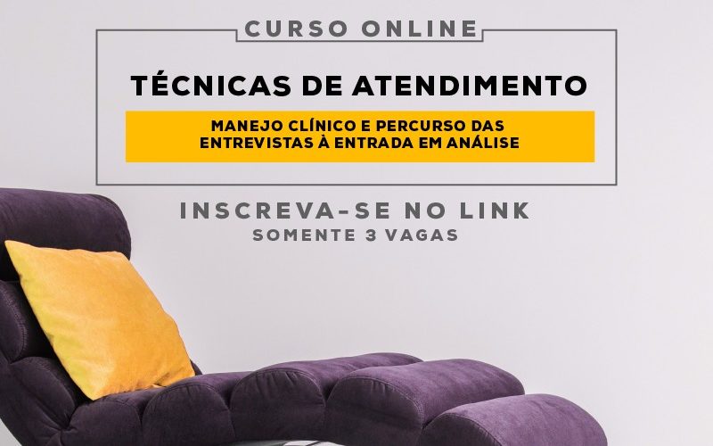 Curso: Técnicas de Atendimento – Manejo Clínico e percurso das entrevistas à entrada em análise